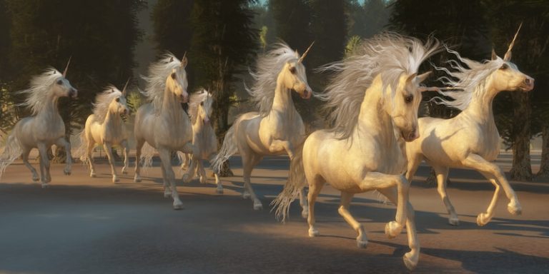 Checking in on the herd of unicorns