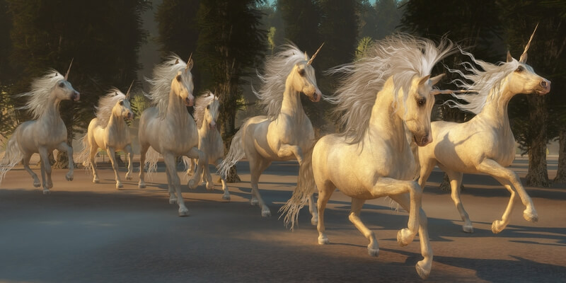 Checking in on the herd of unicorns