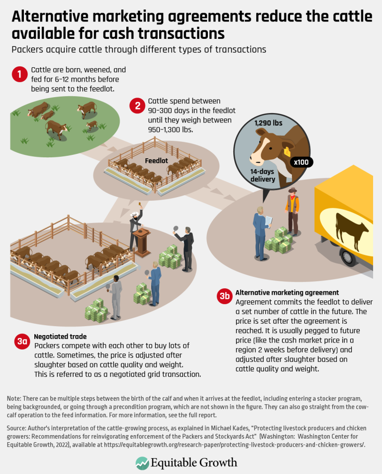 Alternative marketing agreements reduce the cattle available for cash transactions